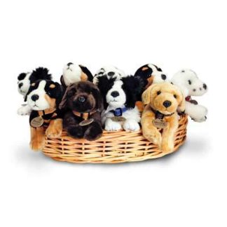 Dogs